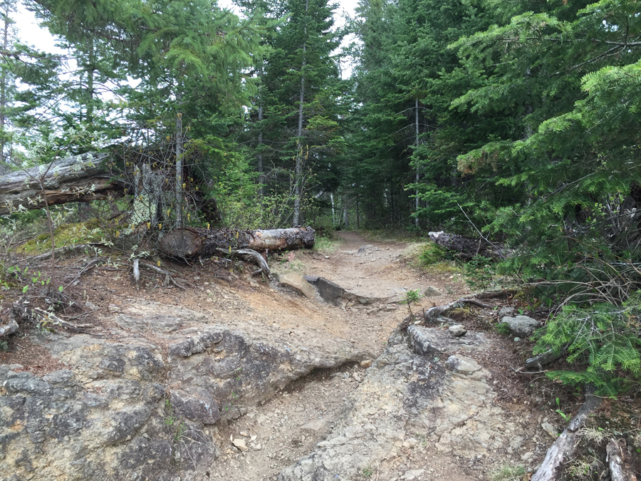 Portage near Lake Polly along Kawishiwi River in BWCA